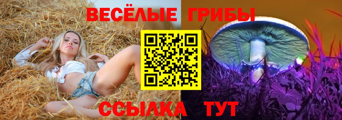 Гулькевичи  Псилоцибиновые грибы ЛСД  купить наркоту  Вход с VPN 