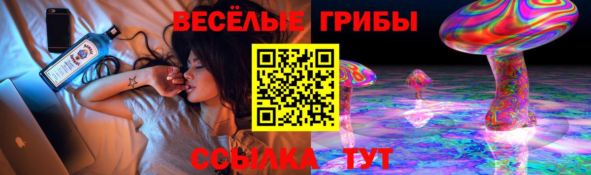 Псилоцибиновые грибы прущие грибы Гулькевичи